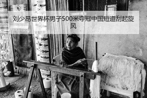 刘少昂世界杯男子500米夺冠中国短道刮起旋风