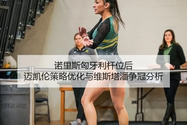 nuo-li-si-xiong-ya-li-gan-wei-hou-mai-kai-lun-ce-lve-you-hua-yu-wei-si-ta-pan-zheng-guan-fen-xi-2-901.jpg